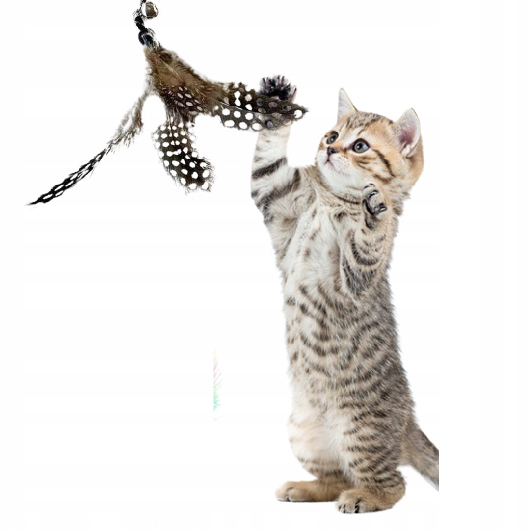 TELESCOPIC CAT FISHING ROD 7 INTERCHANGEABLE FEATHER TIPS VIPER FISH BUTTERFLY Brand no brand