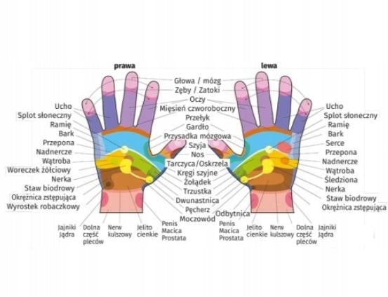 TENS EMS Electrode Gloves for Electrostimulator or Massager Size M EAN (GTIN) 6942532315594