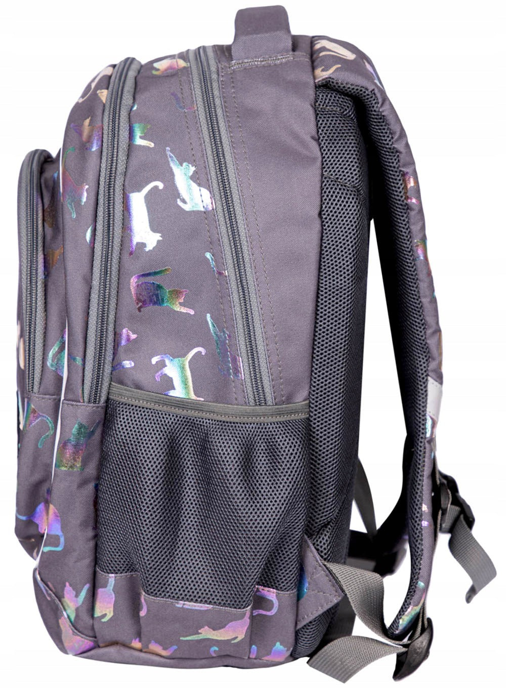 THREE-CHAMBER SCHOOL BACKPACK HOLO CATS HASH-5928 Brand Hash