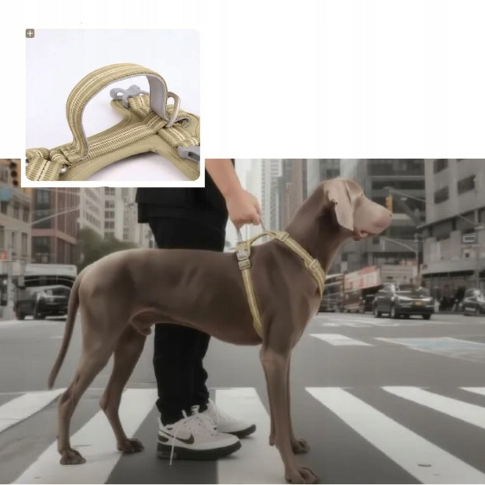 TIBET guard dog harness without putting a strong BLACK M over the head Color black