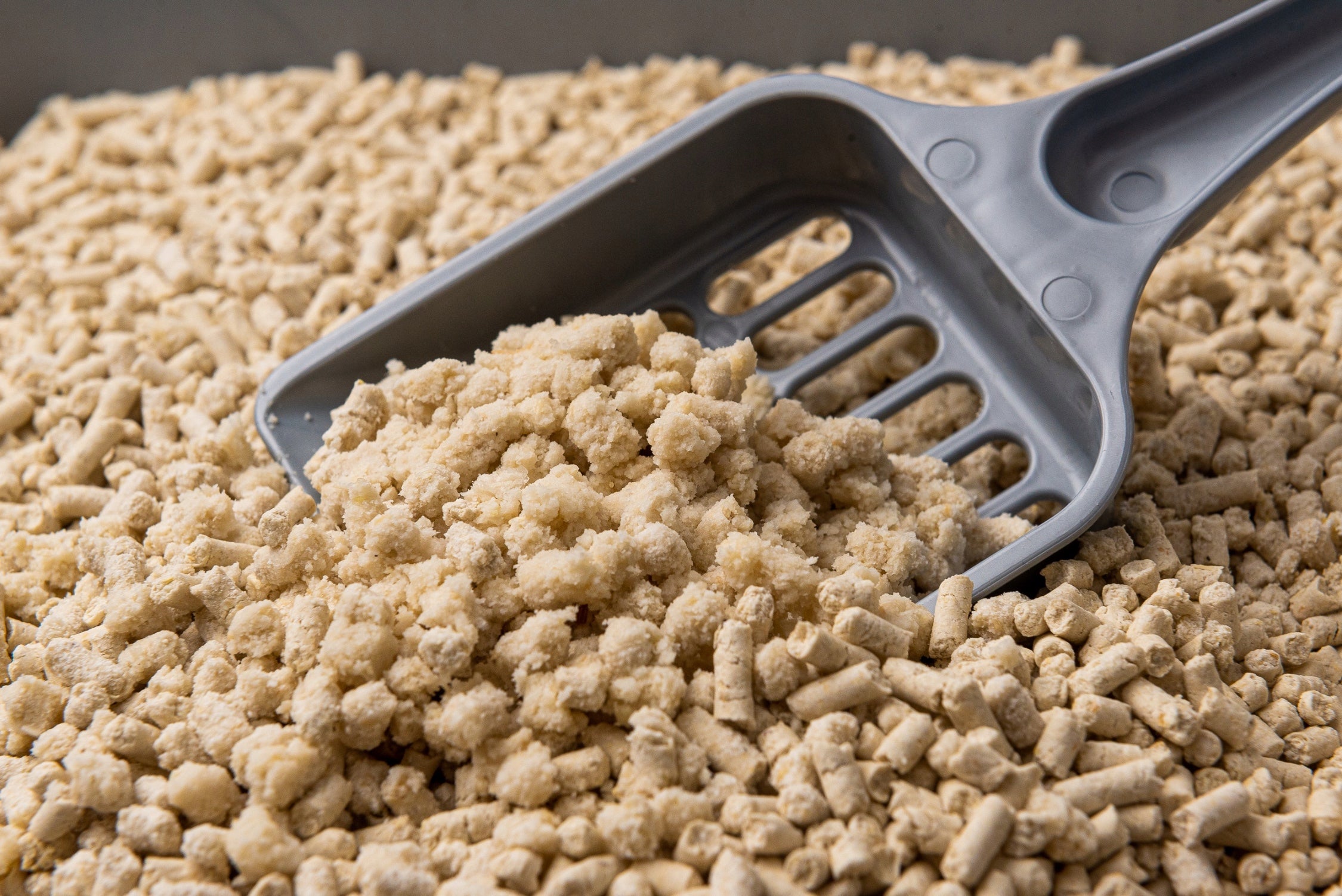 TOFU LITTER FOR CATS - JAPANESE - ANTIBACTERIAL - HYPOALLERGENIC Kind litter
