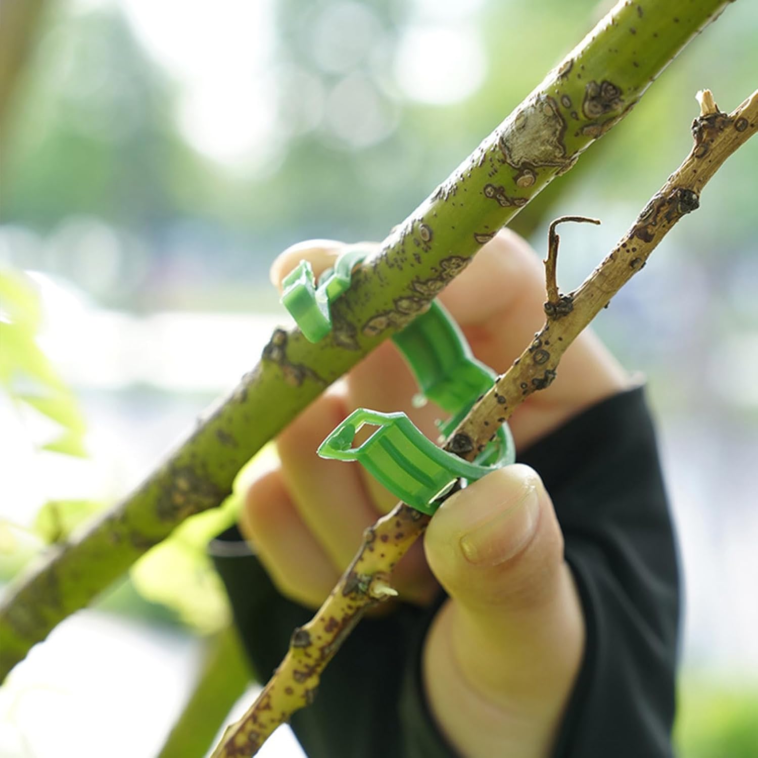 TOMATO CLIPS 1000 PIECES CLASPS HANDLE BEAN STEM CLIP SHOOTS Manufacturer code Spinacz mocowania spinania fasoli pędów