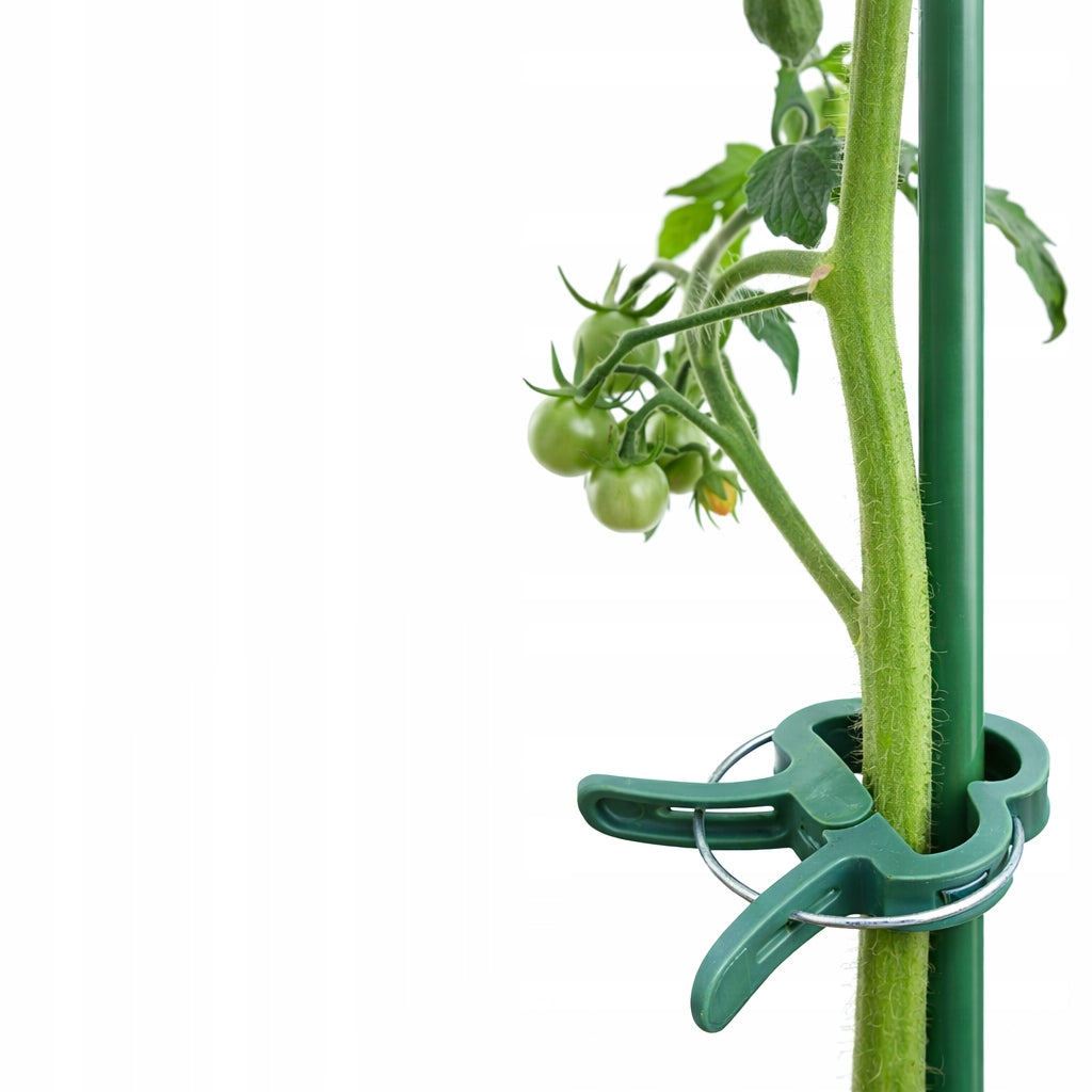 TOMATO CLIPS 120 PIECES CLASPS HANDLE BEAN STEM CLIP SHOOTS Manufacturer code KLIPSY DO ROŚLIN 60 szt. Zapinki