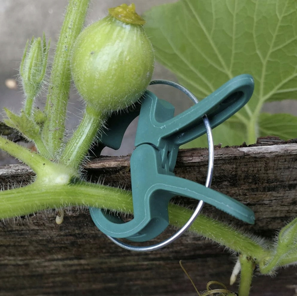 TOMATO CLIPS 120 PIECES CLASPS HANDLE BEAN STEM CLIP SHOOTS Number of pieces 60 pcs