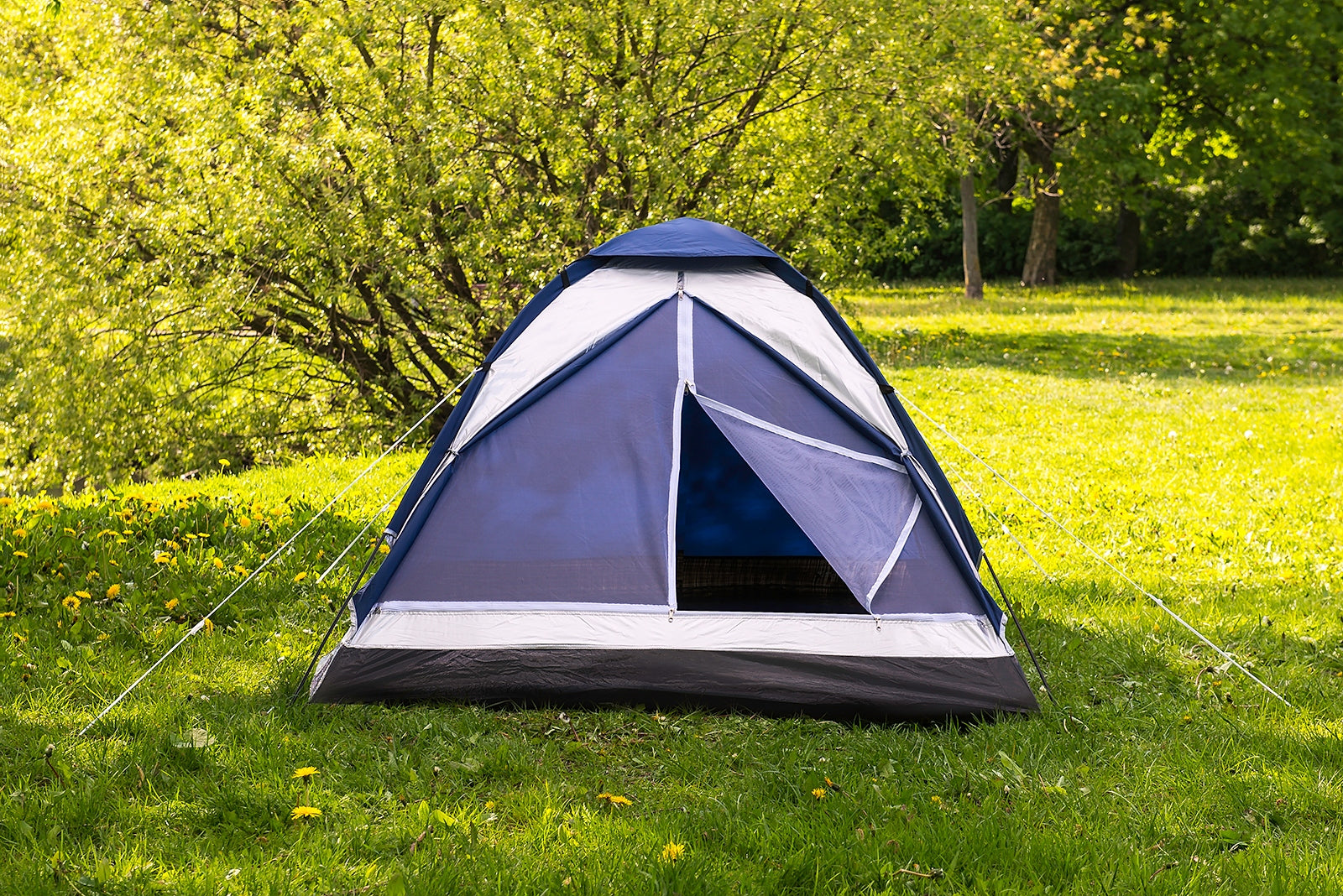 TOURIST TENT DOMEPACK 2 ACAMPER 2500mm + FREEBIE Waterproofness 2500 mm