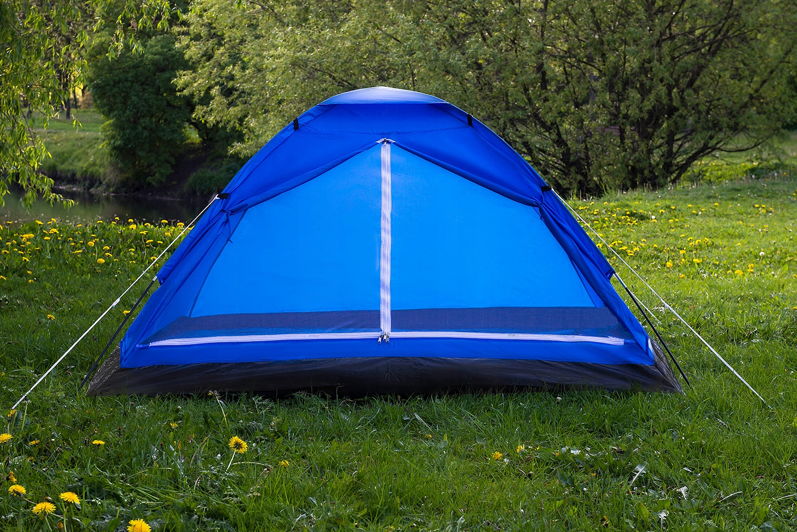 TOURIST TENT DOMEPACK 4 PRO ACAMPER 2500mm + FREEBIE Model Domepack