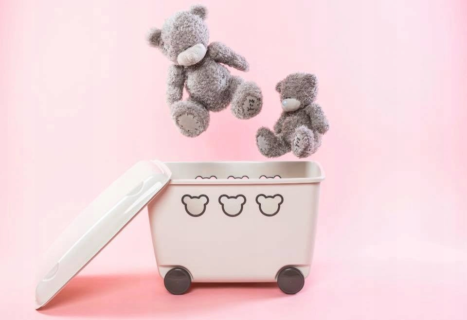 TOY CONTAINER ON WHEELS CONTAINER 55L BRANQ Brand BranQ
