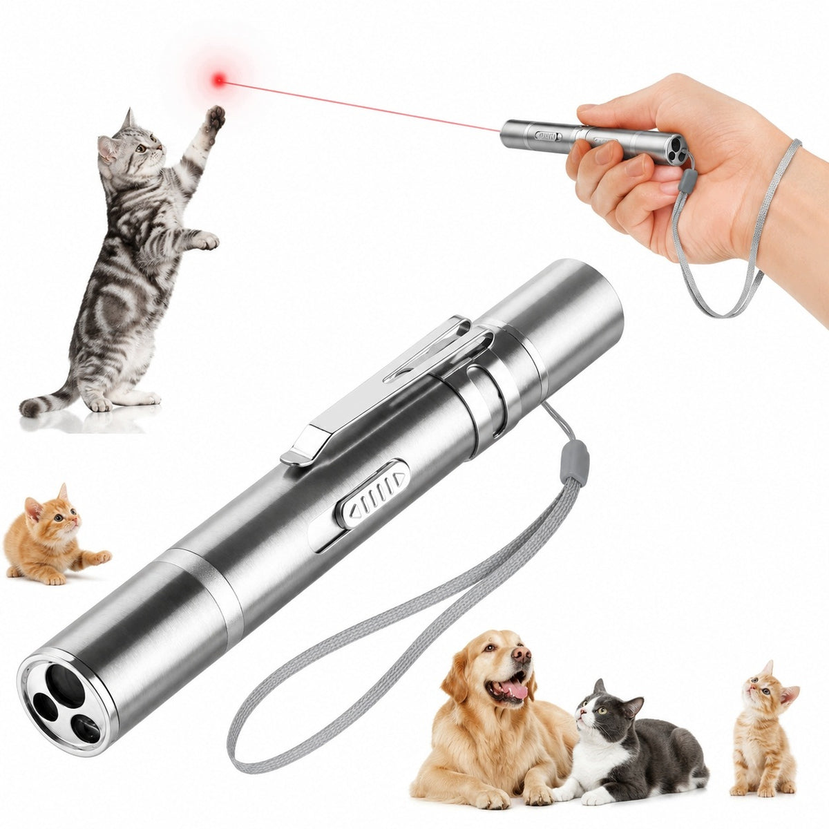 TOY INTERACTIVE USB LED LASER FOR CAT AND PET DOG