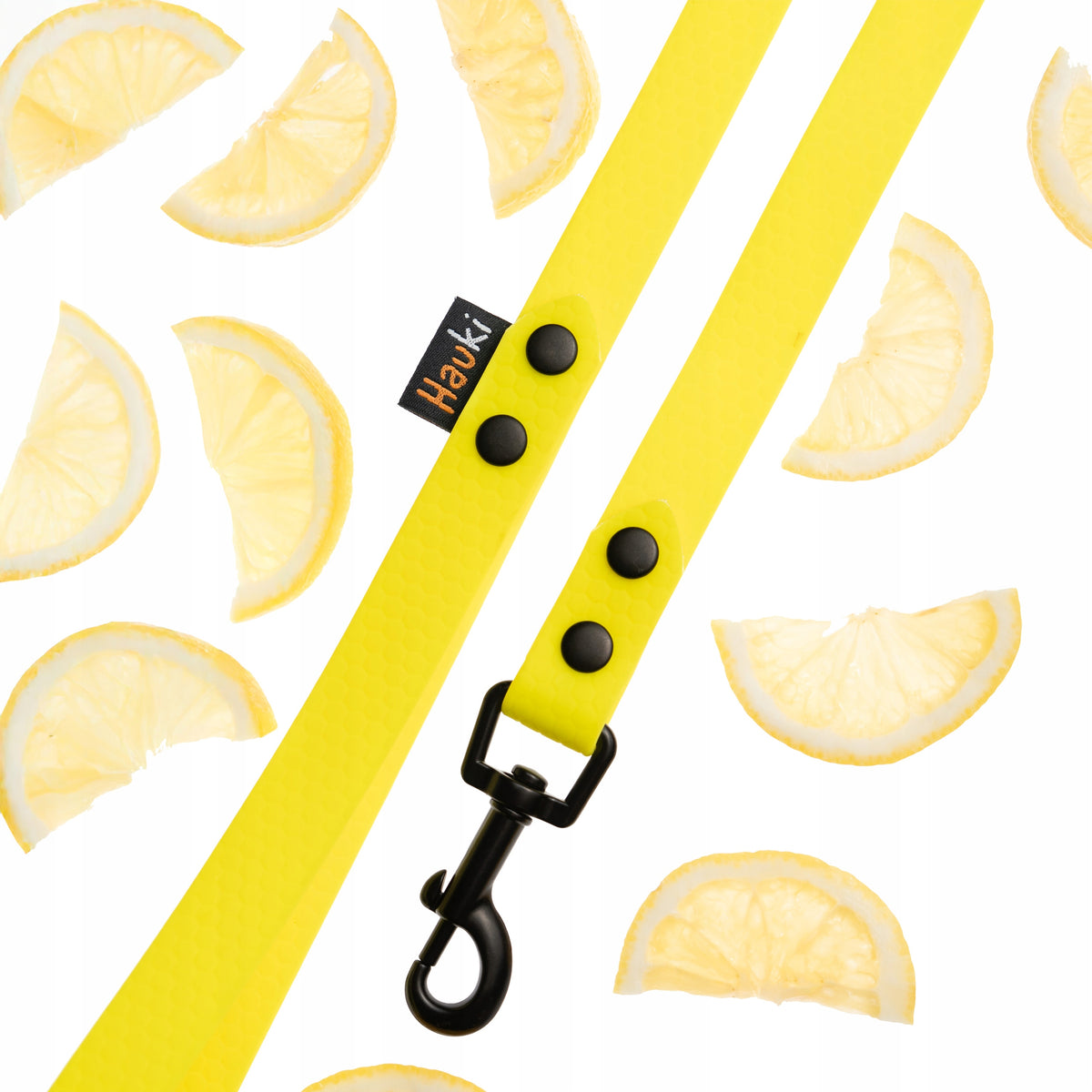 TRAINING CORD HEXA 5M/20MM. YELLOW. BLACK ELEMENTS. DOG LEASH Packaging status original
