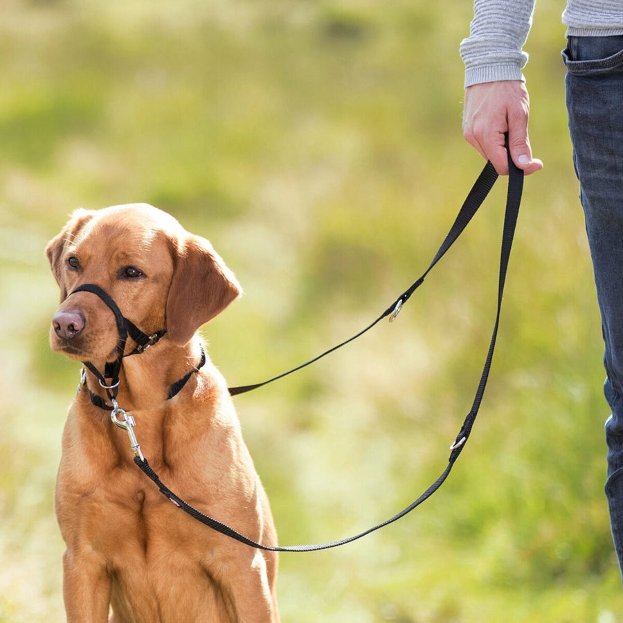 TRAINING HARNESS TOP TRAINER FOR DOG TRIXIE S Brand Trixie