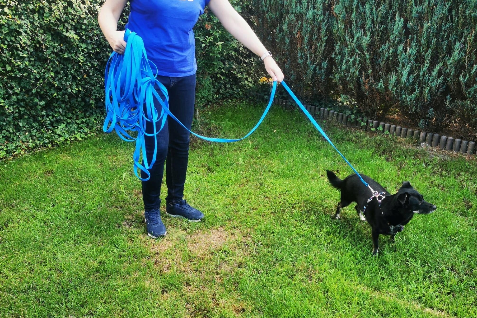 TRAINING LEASH WATERPROOF PVC BIOTHANE NELSON-X 5 M/1,5 CM STD STRONG Brand Nelson-X