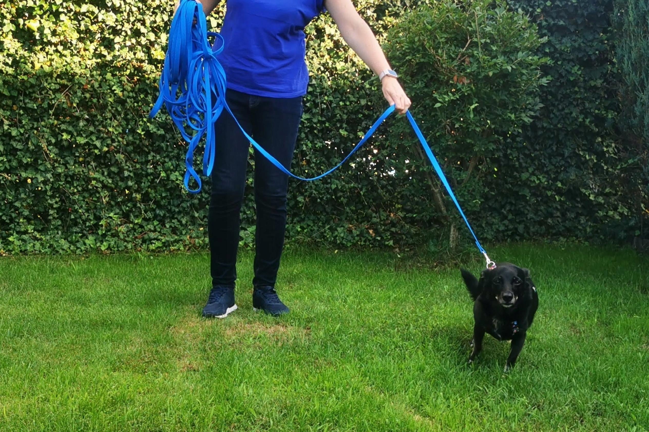 TRAINING LEASH WATERPROOF PVC BIOTHANE NELSON-X 5 M/1,5 CM STD STRONG Trade name TRENINGOWA-PVC-SILVER-5M-1,5CM-STD-HEXA