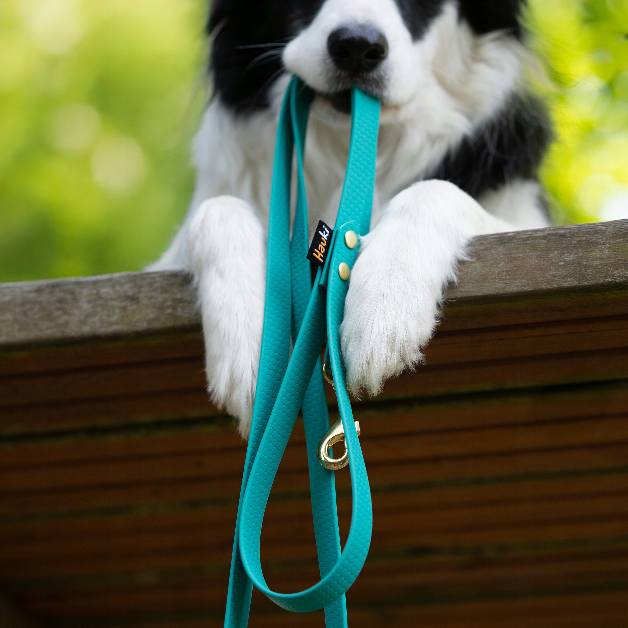 TRAINING ROPE FOR BIG DOG 10M. DOG LEASH. DURABLE, HEXA PATTERN Brand Hauki