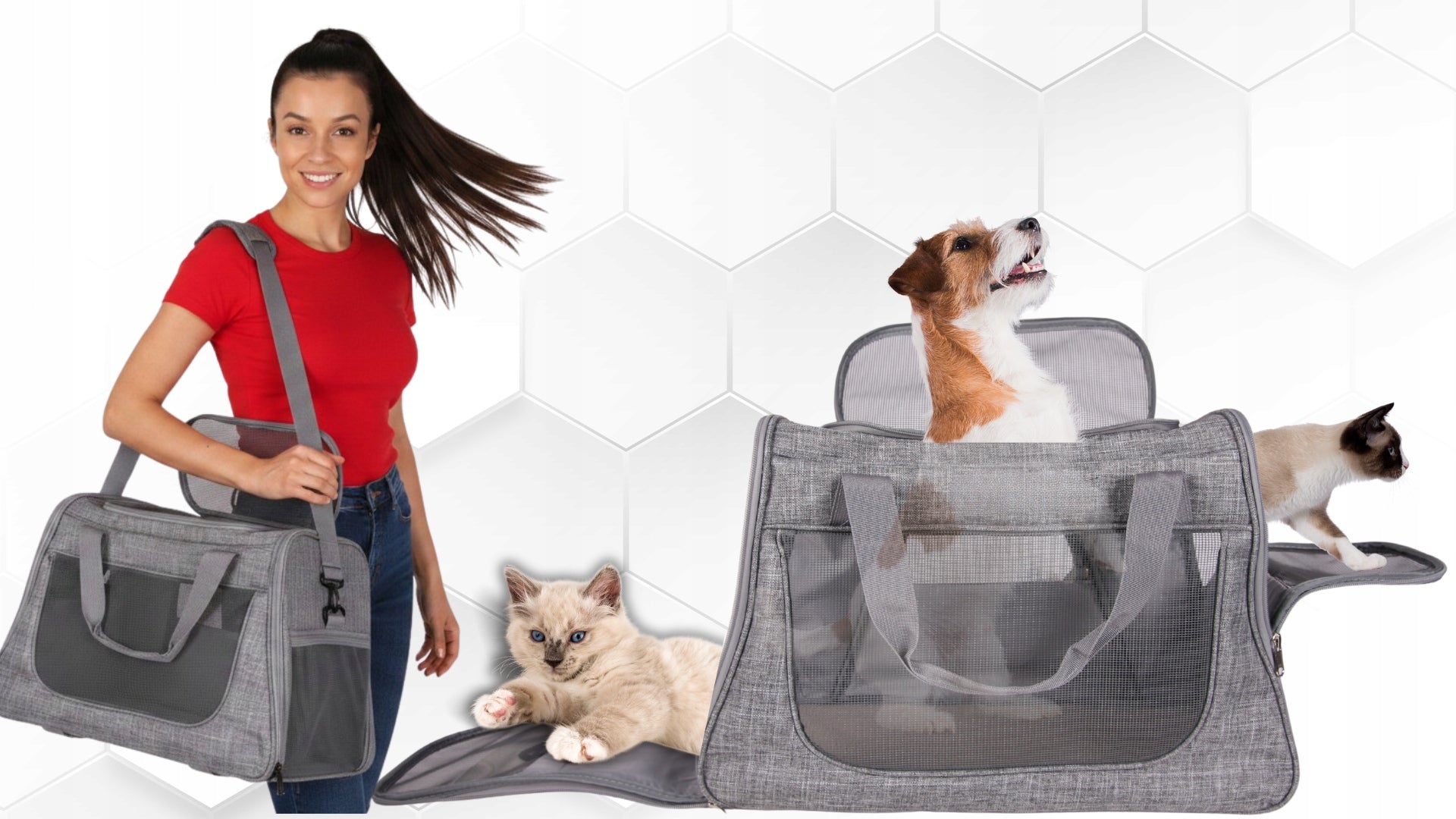 TRANSPORT BAG TROLLEY ON WHEELS DOG CAT ANIMALS TRANSPORTER FOLDING Kind carrier