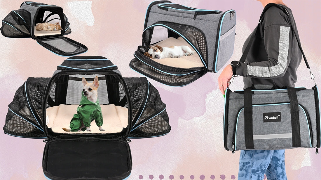 TRANSPORTER CAT DOG FOLDING BAG LARGE PADDED HOLES LIGHT LARGE XL Brand Wobell
