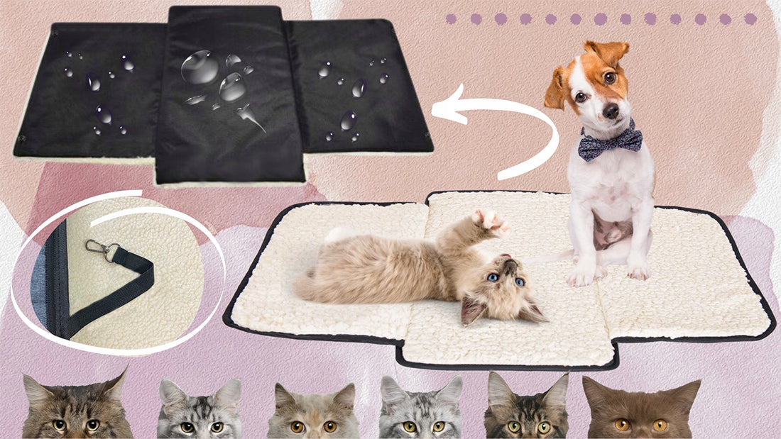 TRANSPORTER CAT DOG FOLDING BAG LARGE PADDED HOLES LIGHT LARGE XL Product height 30 cm