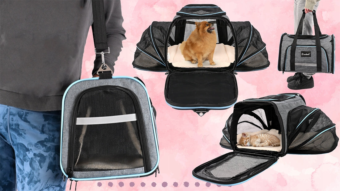 TRANSPORTER CAT DOG FOLDING BAG LARGE PADDED HOLES LIGHT LARGE XL Trade name TORBA PRZENOŚNA DLA ZWIERZĄT