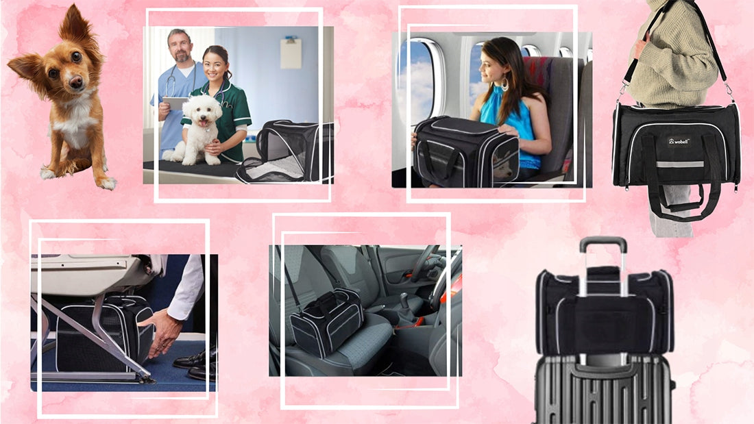 TRANSPORTER FOLDING CARRY BAG FOR CAT DOG ANIMALS FOR AIRPLANE Kind carrier