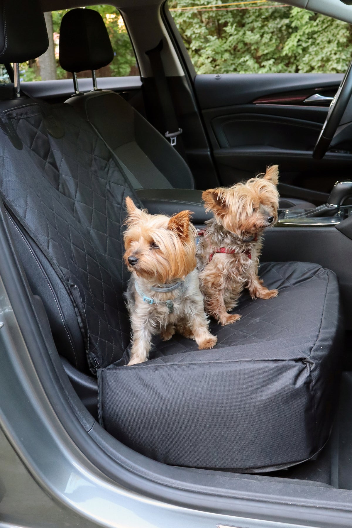 TRANSPORTER FOR CAT CAR SEAT Manufacturer code 02572
