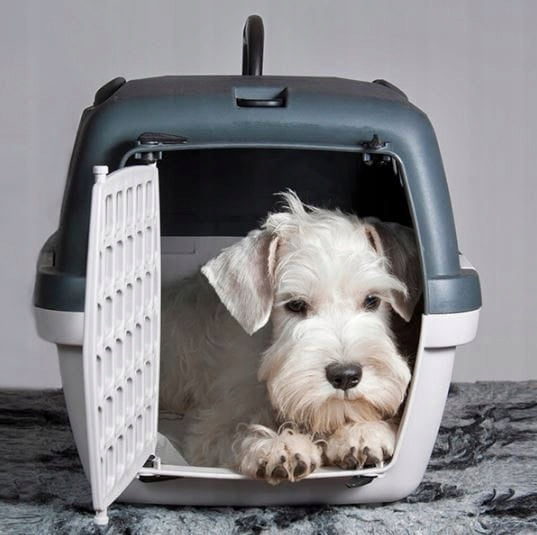 TRANSPORTER GULLIVER 2 FOR DOG CAT Rabbit 55x36x35 Grey Large Solid Trade name GULLIVER 2