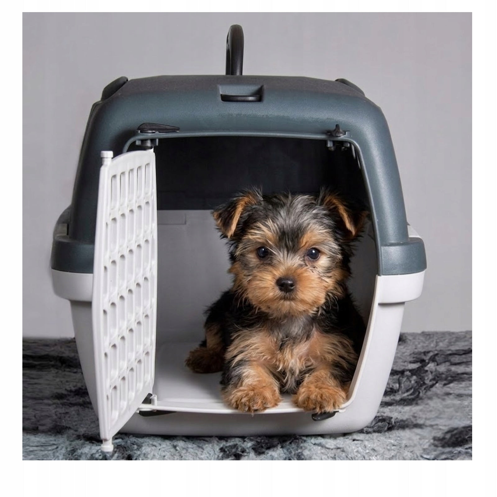 TRANSPORTER GULLIVER 3 FOR DOG CAT RABBIT 61X40X38 Kind carrier
