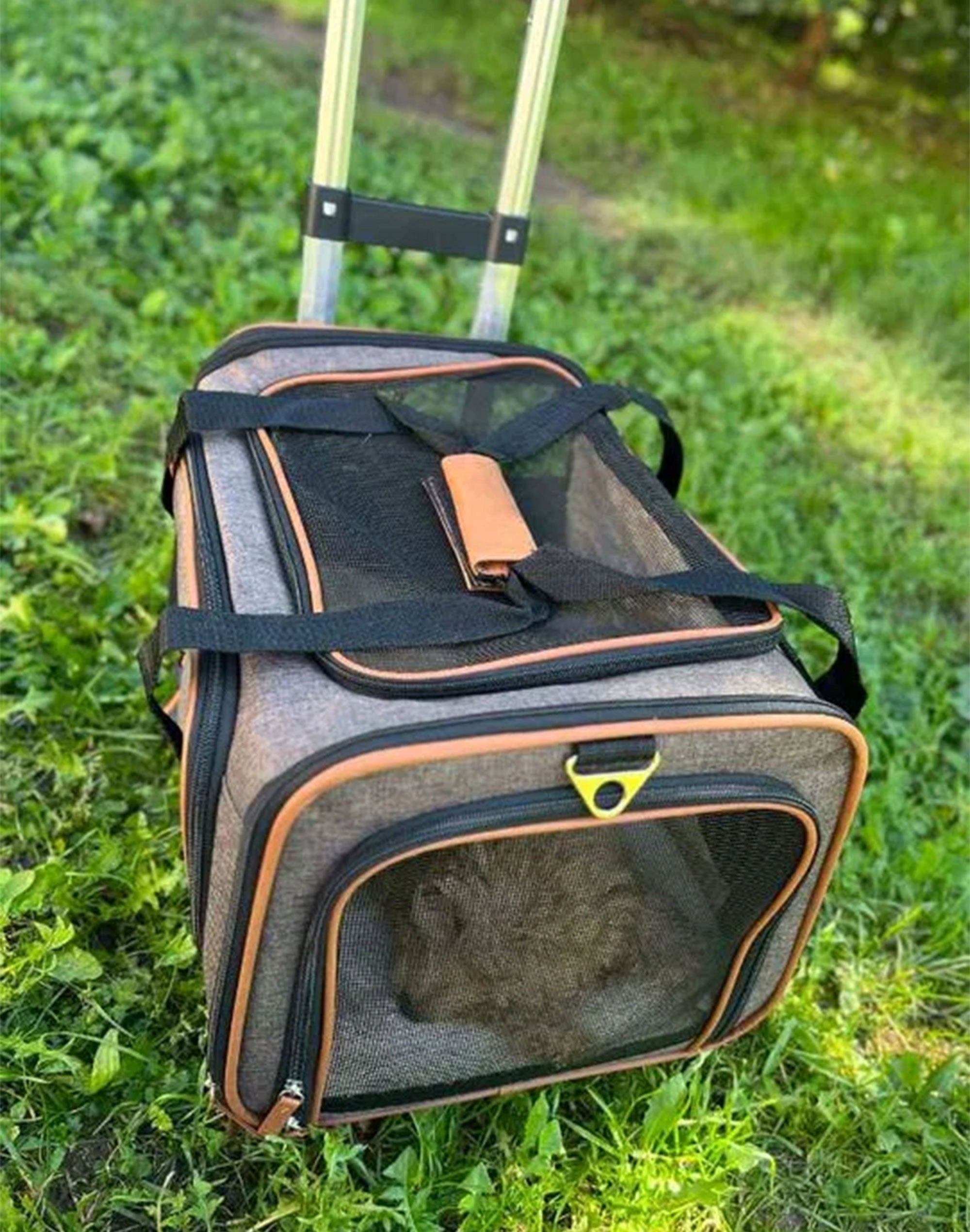 TRANSPORTER TRAVEL SUITCASE ON WHEELS DOG CAT BAG + FOLDING BOWL Size 4XL