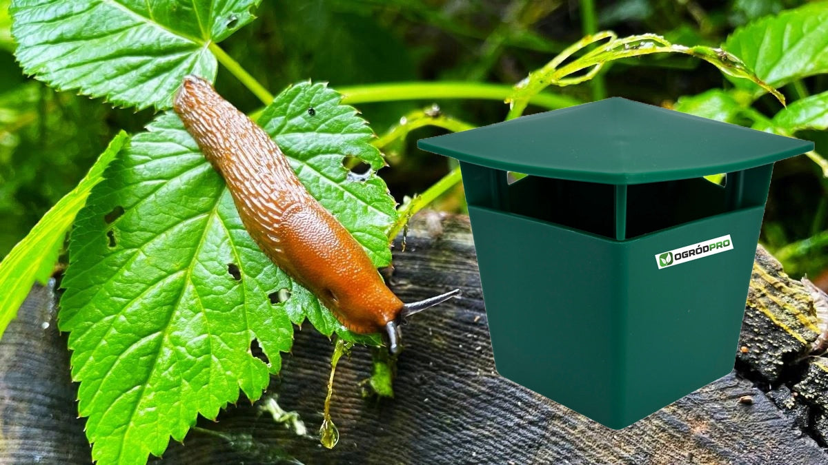 TRAP AGAINST SNAILS FOR SNAILS DECOY PAW EFFECTIVE ECOLOGICAL Manufacturer code OGRÓDPRO - pułapka na ślimaki EKO
