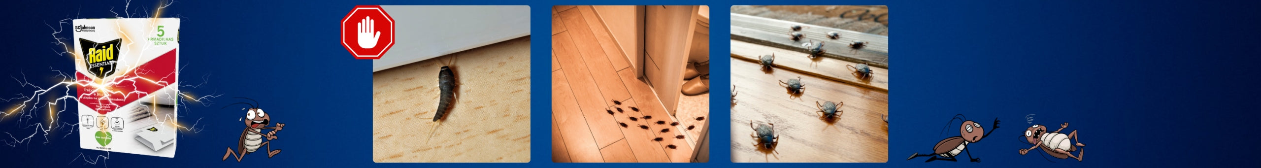 TRAP FOR FISH AND COCKROACHES RAID 5 PCS. EFFECTIVE UNSCENTED WITHOUT CHEMICALS Packaging status original