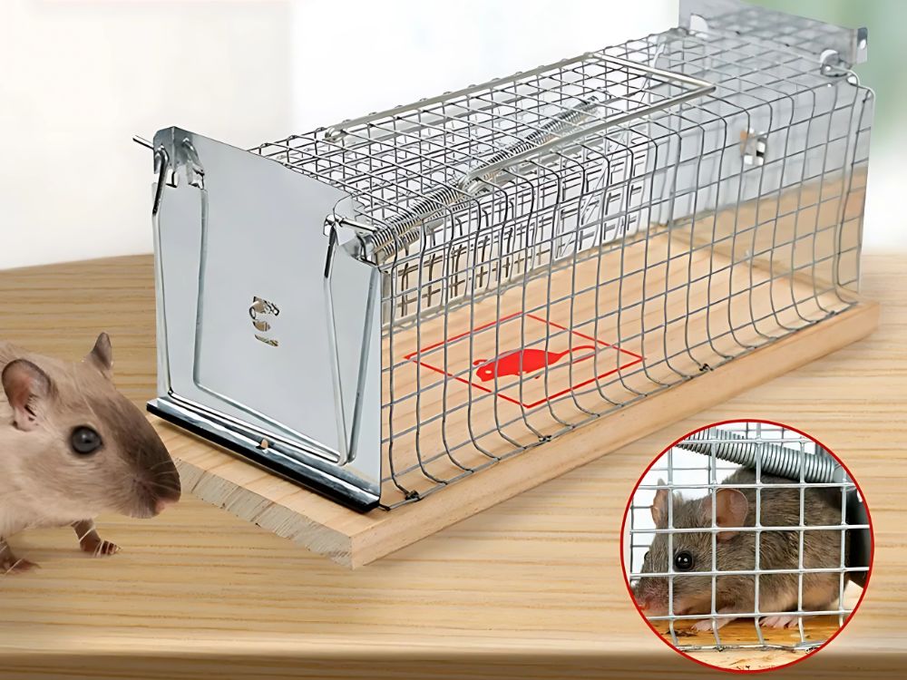 TRAP LIVETRAP FOR RATS RODENT MICE LARGE METAL CAGE Manufacturer code PUŁAPKA NA MYSZY SZCZURY KLATKA METALOWA XXL
