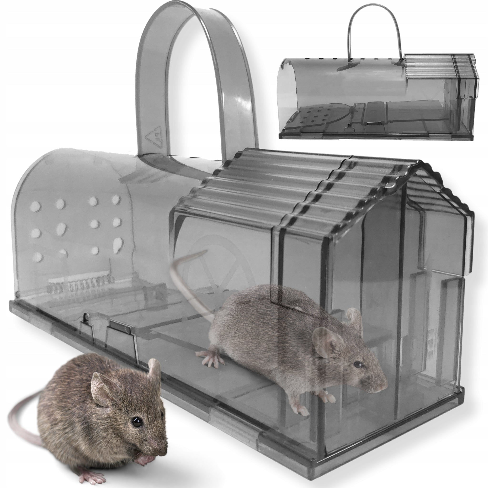TRAP PAW LIVETRAP FOR MOUSE RATS HUMANE PORTABLE PLASTIC