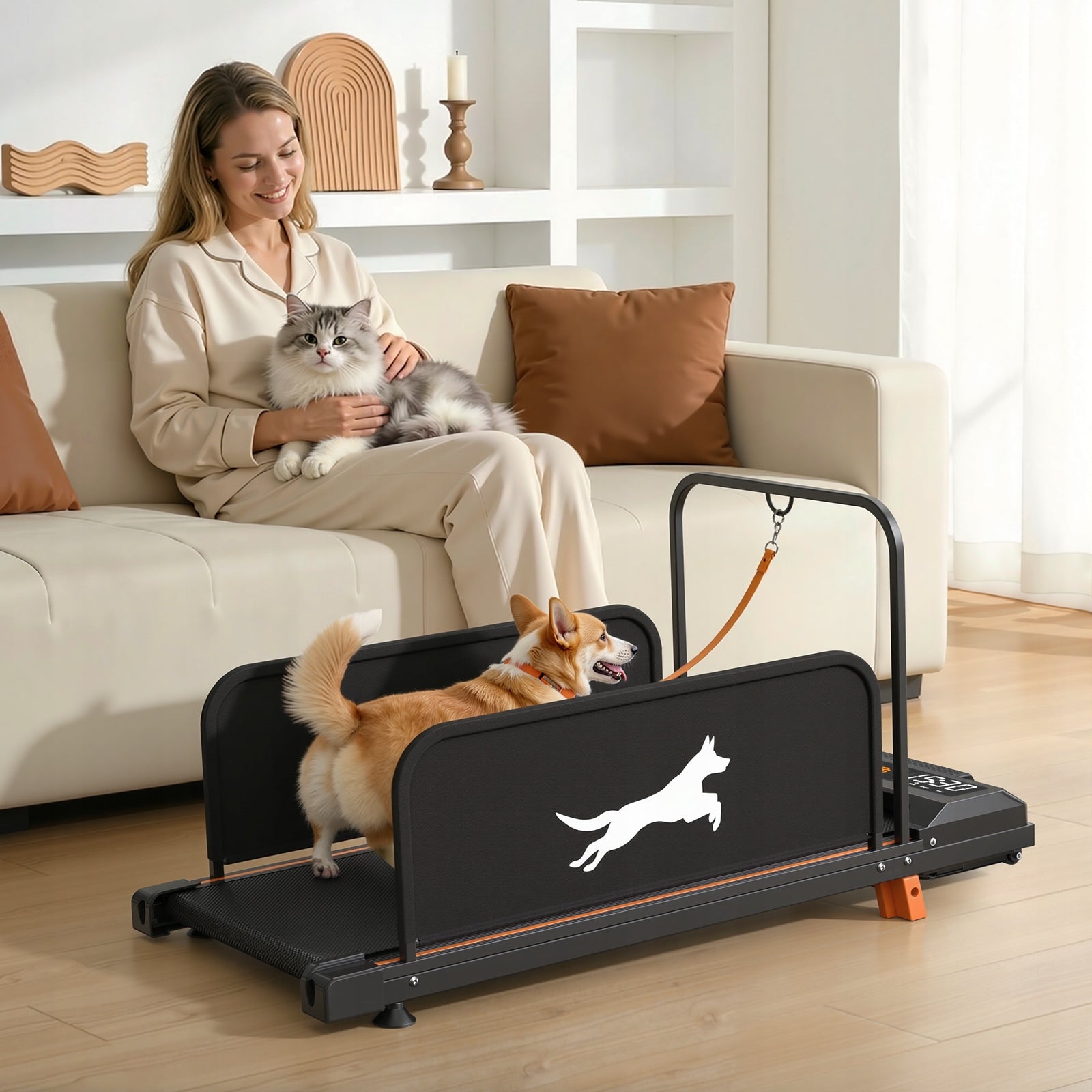 TREADMILL FOR SMALL DOG QUIET 2IN1 TRAINER LCD 110KG EAN (GTIN) 8692078201612