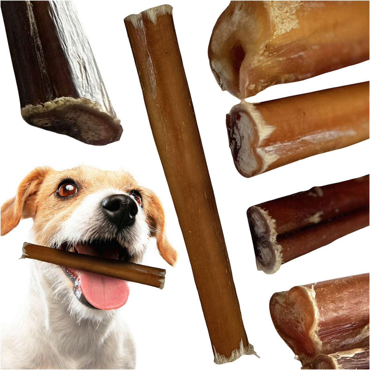 TREATS DOG TEETHER NATURAL BEEF PENIS LENGTH 12 CM 1 PC