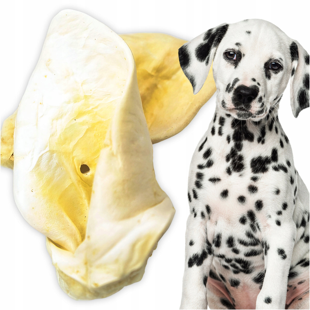 TREATS TEETHER NATURAL DOG TREAT BEEF EAR WHITE 1 PC