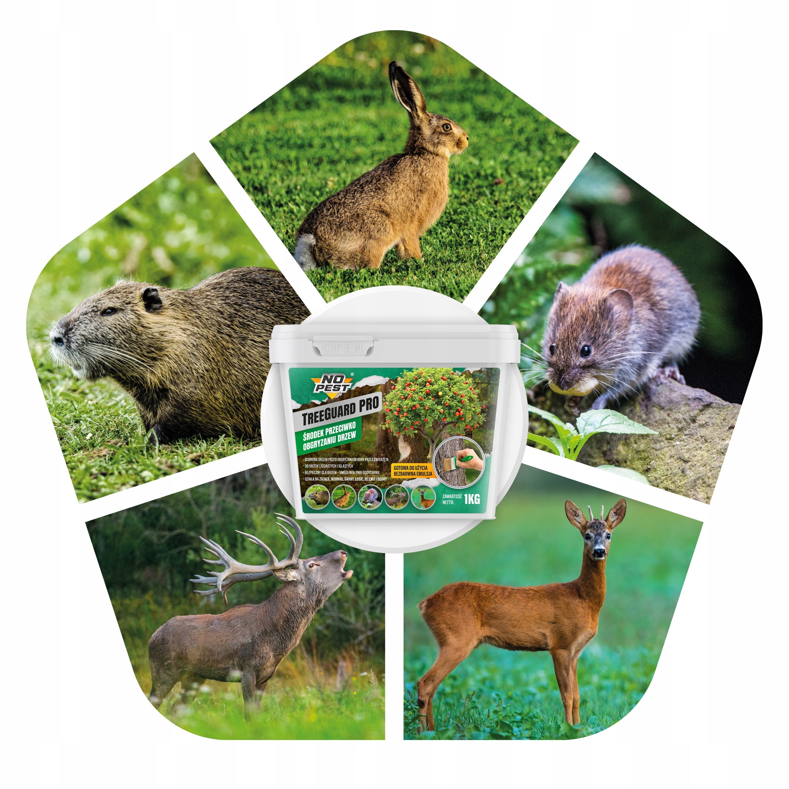 TREE PROTECTION ANTI-BITING AGENT DEER DETERRENT Kind liquid