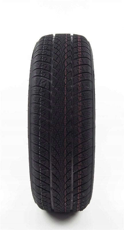 TRIANGLE Z205/55 R16 WINTERX TW401 94V