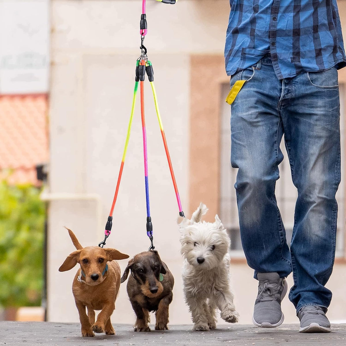 TRIPLE LEASH FOR DOGS 190CM ROTATING GRADIENT NYLON LATCH Manufacturer code SMYCZ POTRÓJNA DLA PSÓW 190CM OBRACAJĄCA SIĘ
