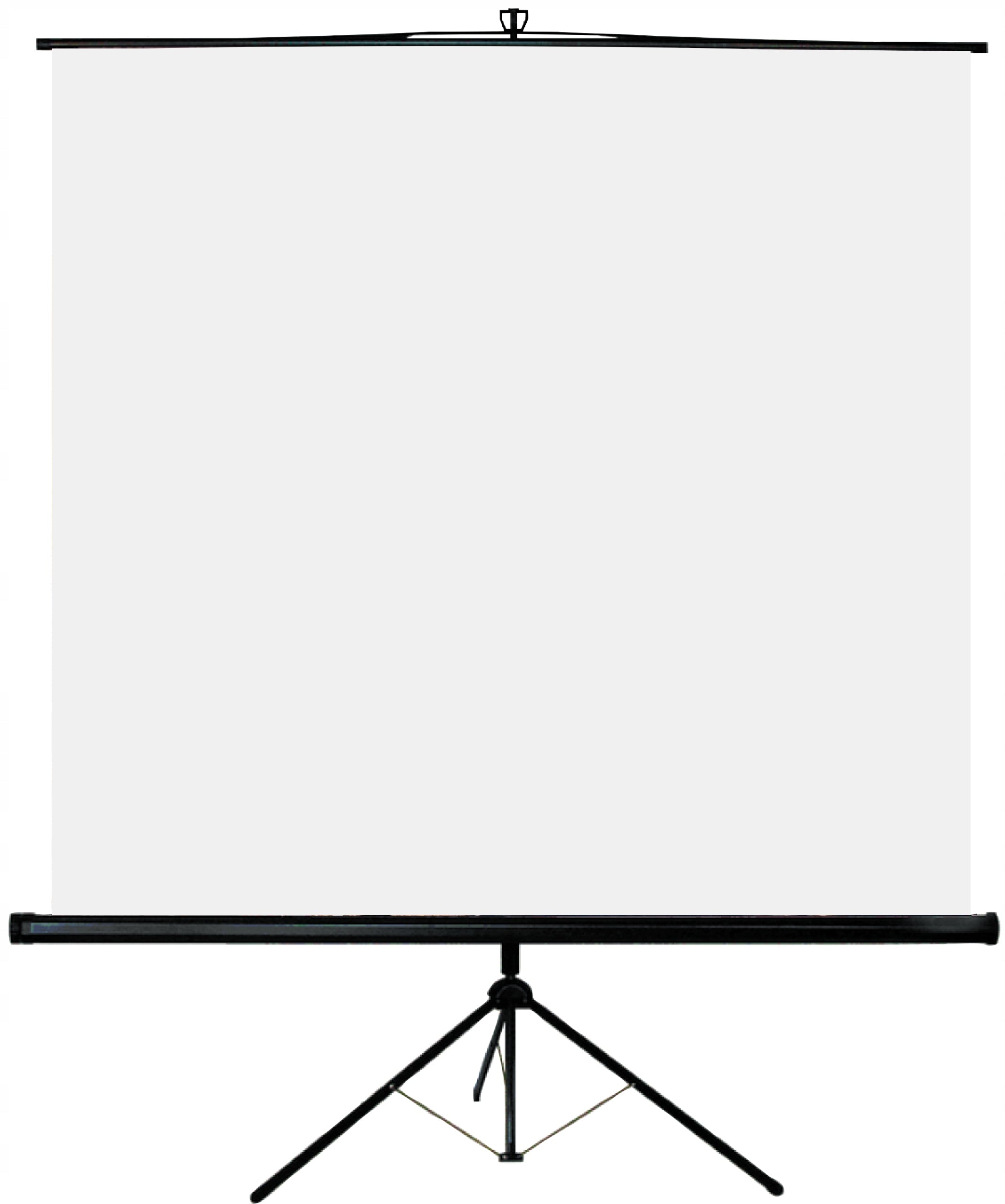 TRIPOD PROJECTION SCREEN - 1:1 200x200cm - 111" - ORAY BYRON 2