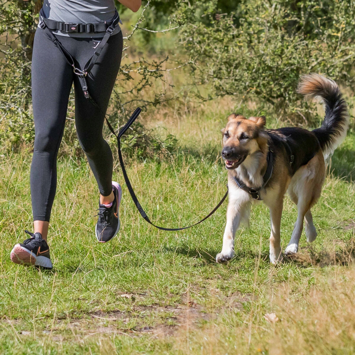 TRIXIE HIP BELT WITH LEASH FOR RUNNING 12766 Brand Trixie