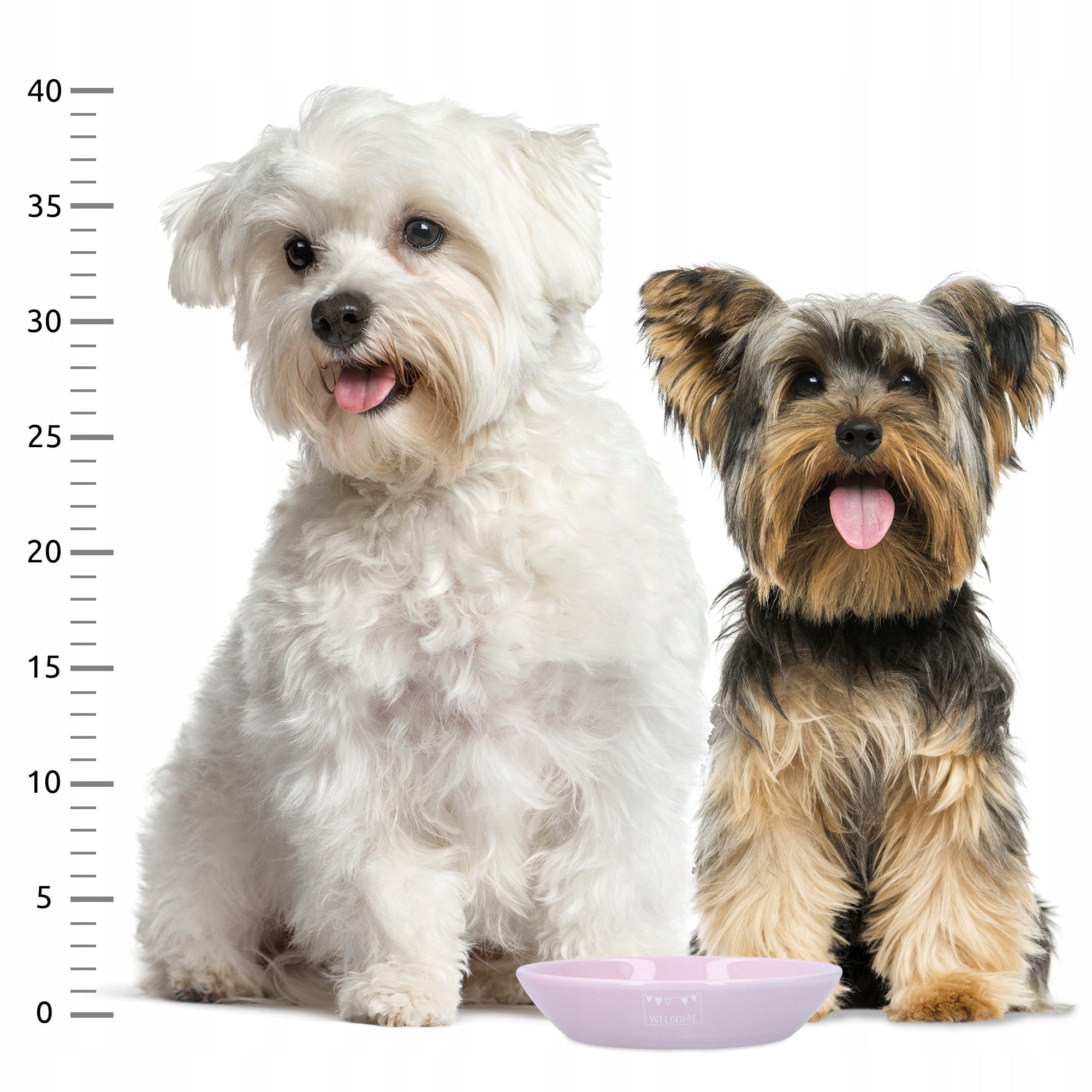 TRIXIE Junior Ceramic bowl for cat water food persa low plate 0,2 L Brand Trixie