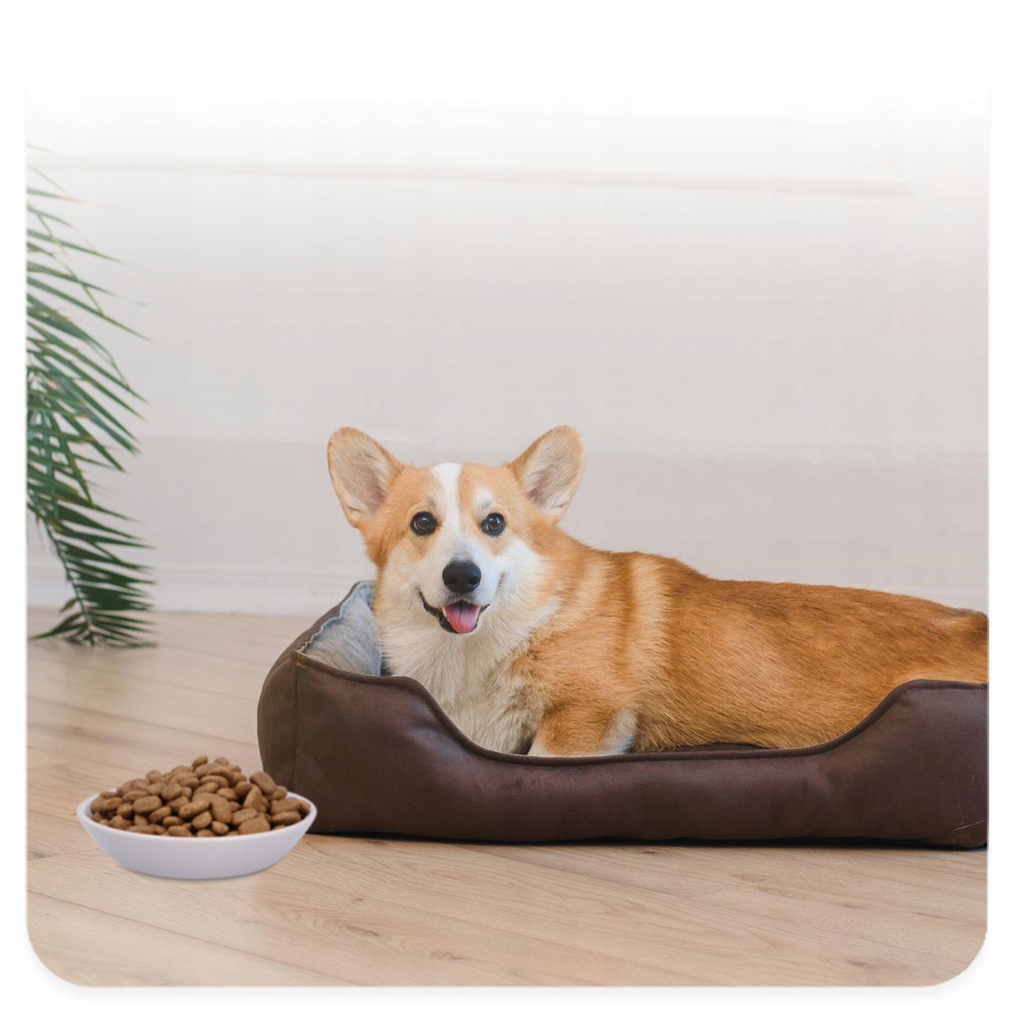 TRIXIE Junior Ceramic bowl for cat water food persa low plate 0,2 L Manufacturer code 4011905251288