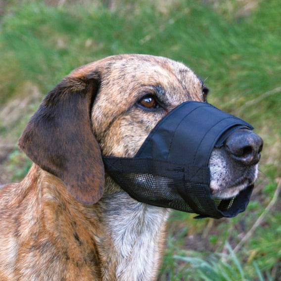 TRIXIE Nylon muzzle With Dog Mesh L-XL 19265 Brand Trixie