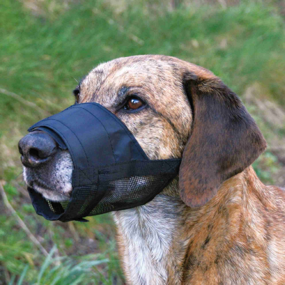 TRIXIE Nylon muzzle With Mesh For Dog M 19263 Brand Trixie