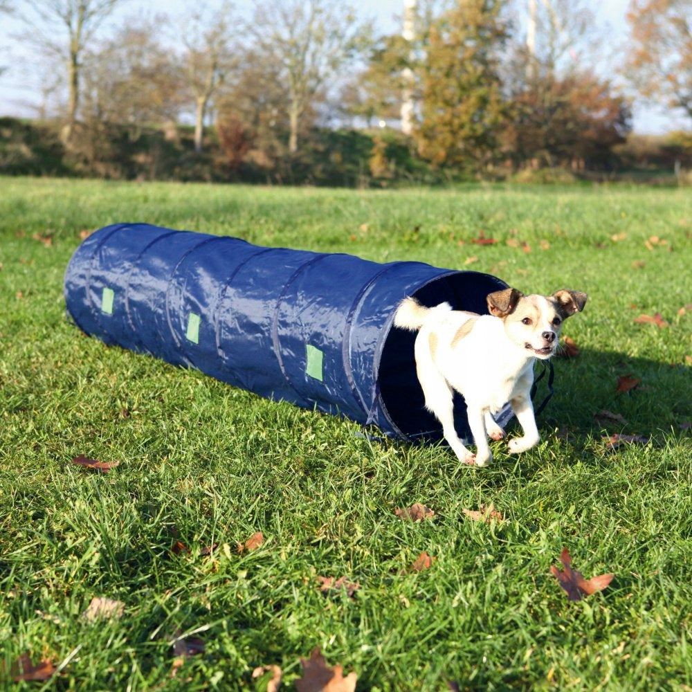 TRIXIE Agility Tunnel, 2 m, blau, 3210 