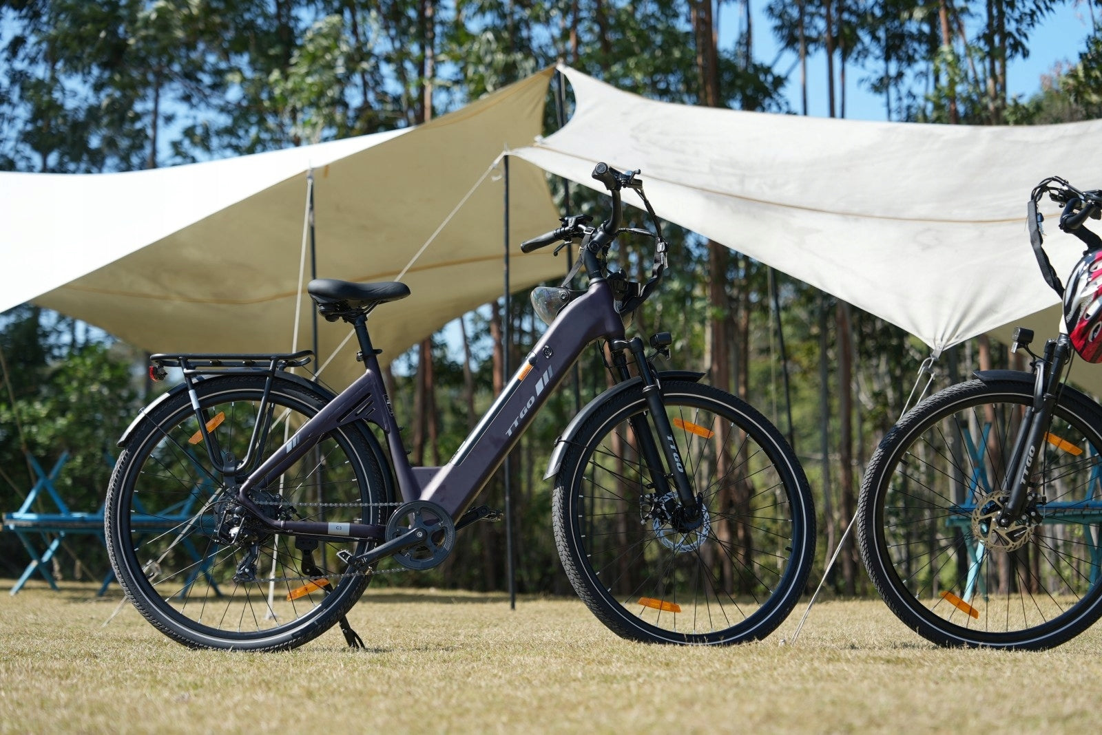 TTGO C3 SE Stylish Men's/Women's Electric Bikes 250W 18AH 120HP EU Foldability partially assembled, calibrated