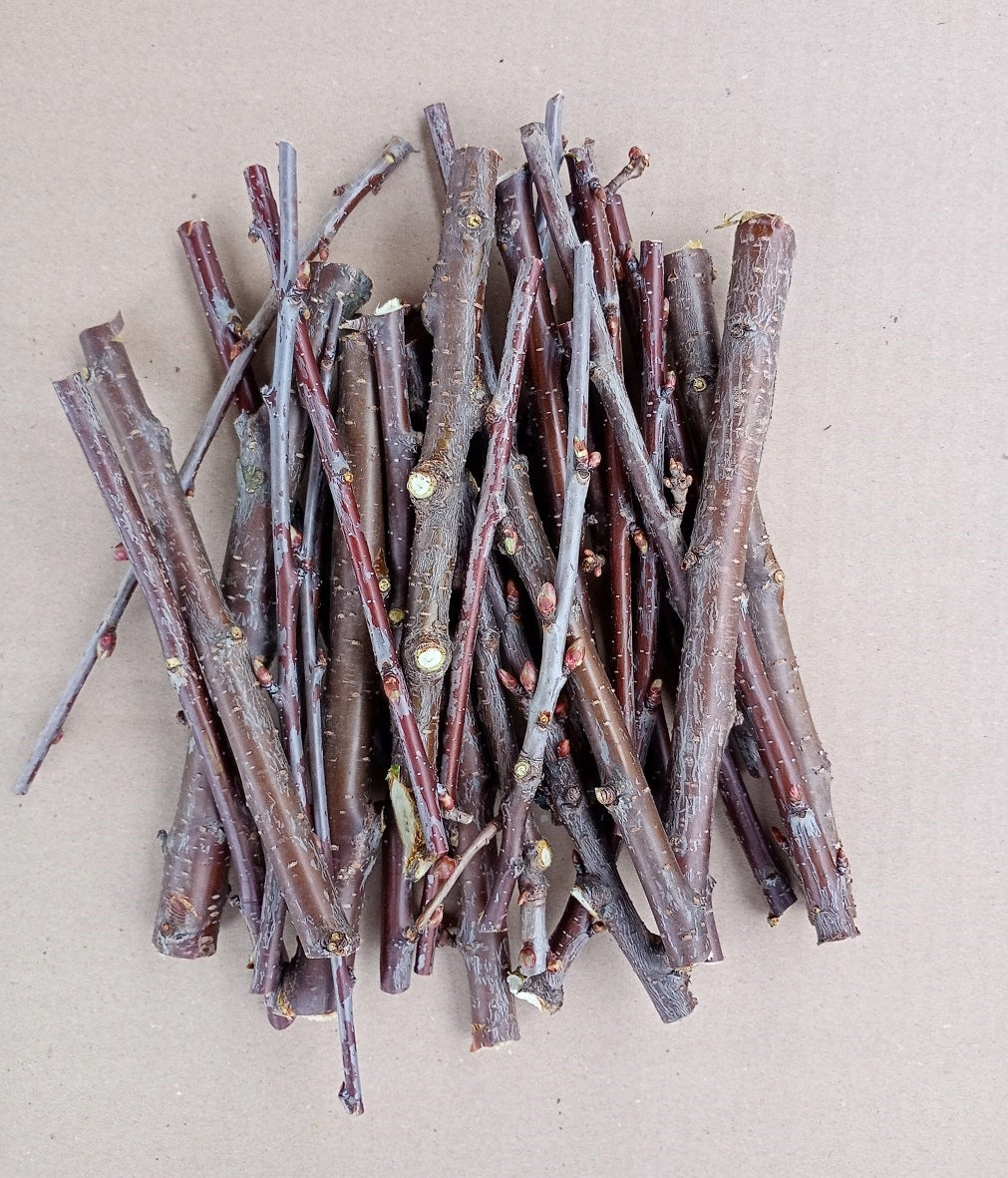 TWIGS PEARS 200g PEARS TREATS TEETHERS 0,2kg FOR RODENTS Packaging status original