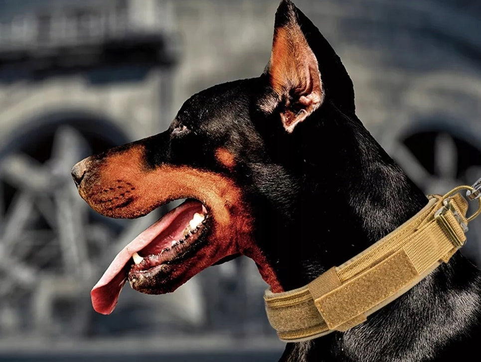 Tactical Dog Collar Adjustable Strong (U011) Brand no brand