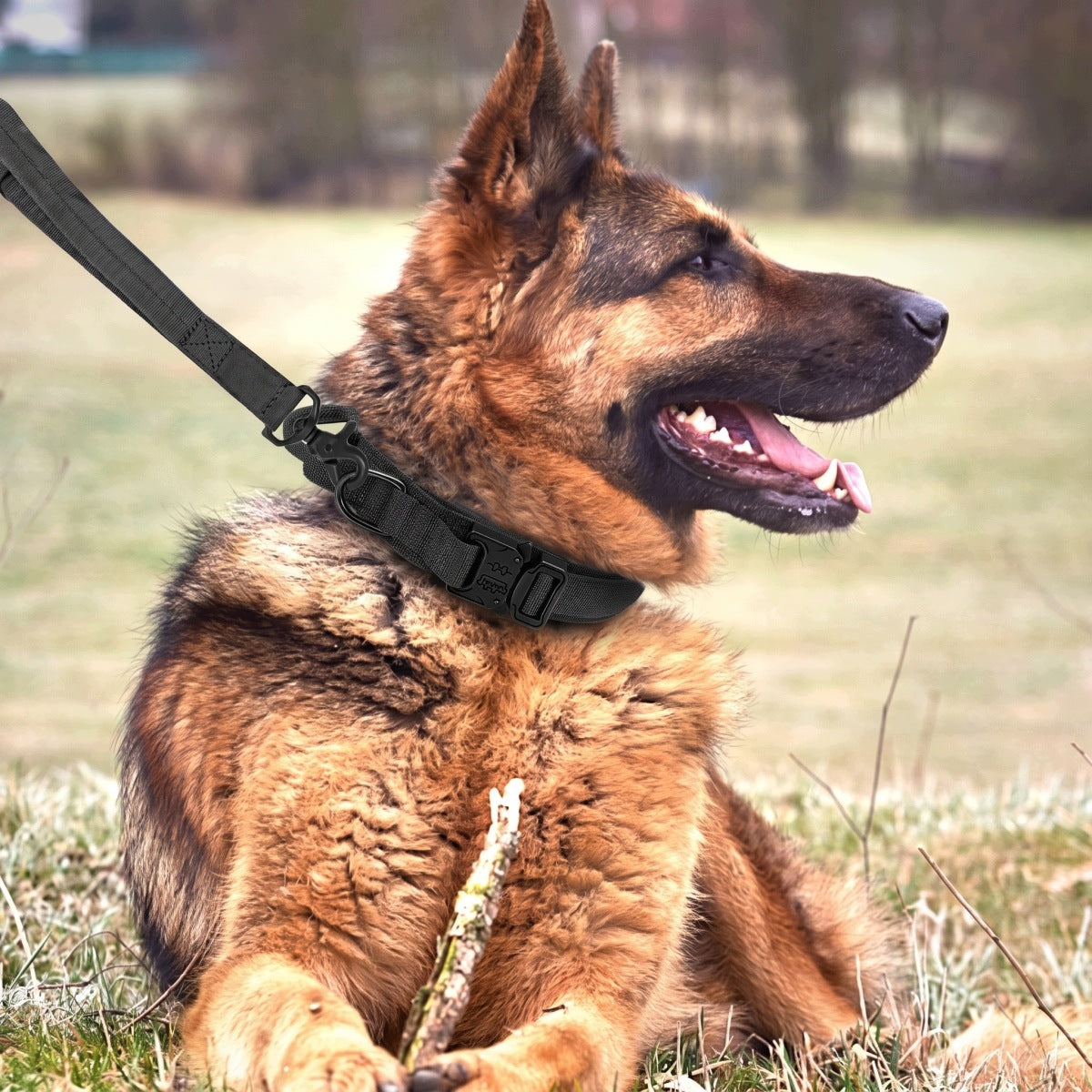 Tactical collar and leash set – for dog, adjustable, strong, L Manufacturer code 4048535812008