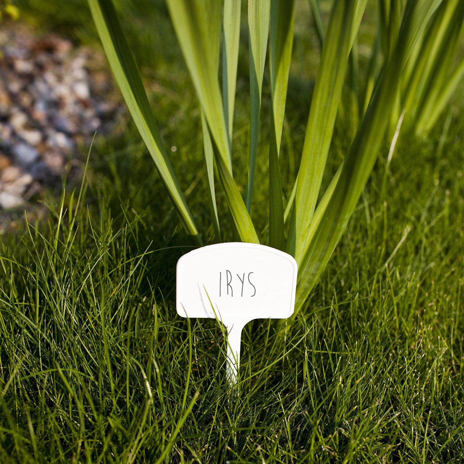Tag PLATE Vegetable Flower Label 30pcs + PENCIL Kind standing