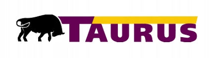 Taurus 195/65R15 HIGH PERFORMANCE 91V PASSENGER SUMMER TYRE