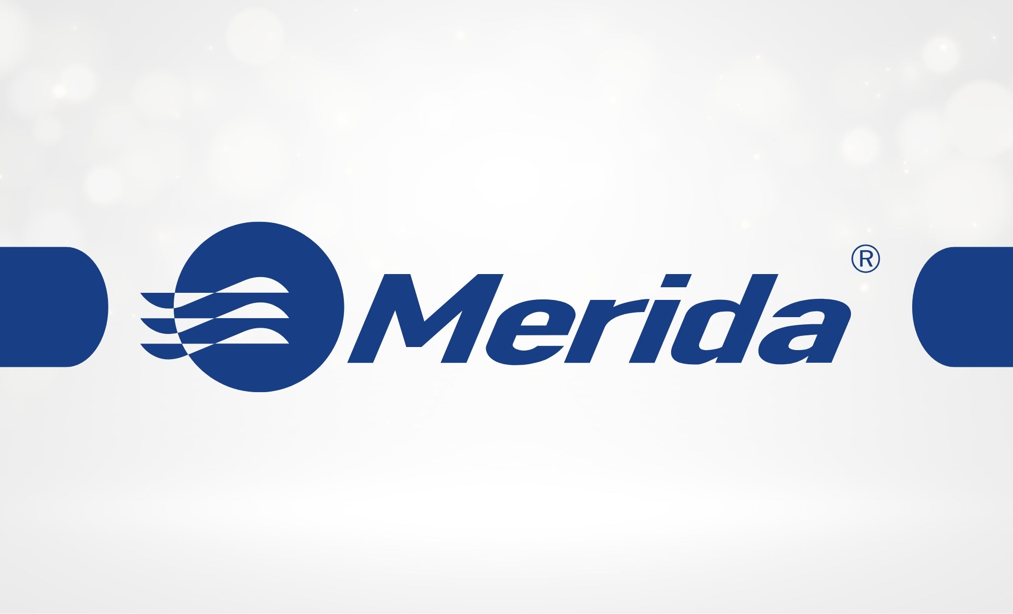 Technical insert for cart model WKLA-0122 replacement Merida ZS085 Brand Merida